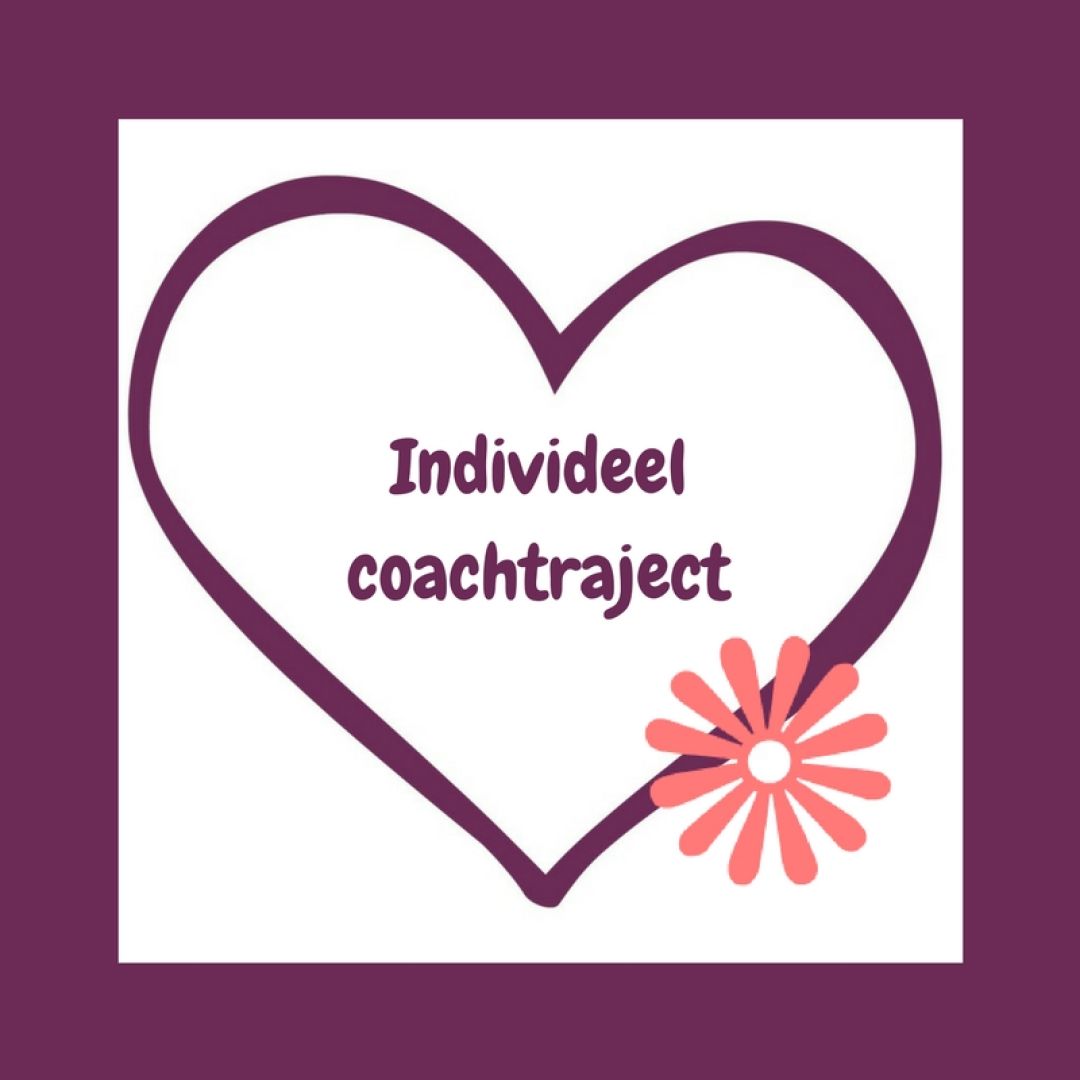 Individuele coaching
